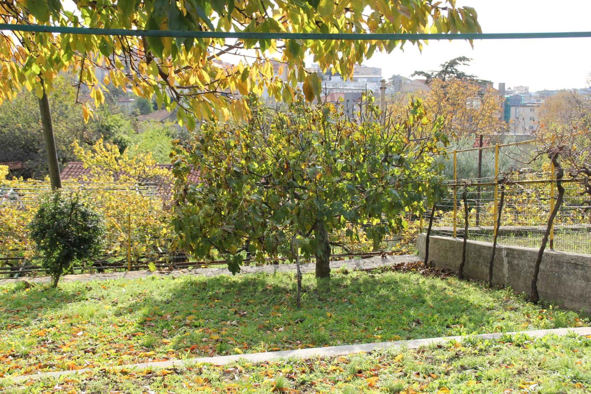 Il Gelsomino Villa Trieste Exteriör bild